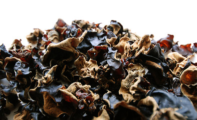 Image showing arage kikurage cloud wood ear mushroom