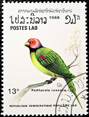 Image showing Blossom-headed Parakeet bird stamp.