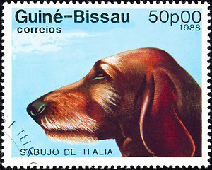 Image showing Sabujo dog stamp.