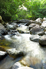 Image showing water spring in forest