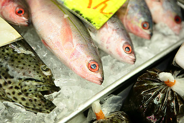 Image showing fish for sale