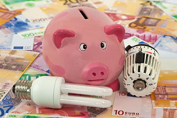 Image showing Piggy Bank