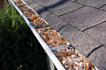 Image showing Leaves in rain gutter.