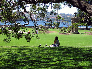 Image showing People and birds. Sydney. Australia