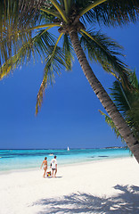 Image showing Couple walking on beach, Mauritius Island