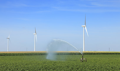 Image showing Modern agriculture