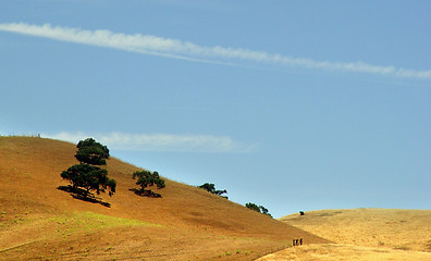 Image showing Golden hills