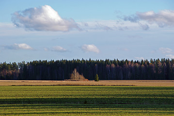 Image showing Fall Field and Sky Landscape