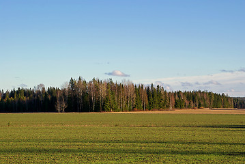 Image showing Green Field in October