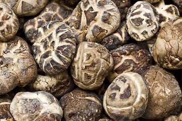 Image showing Close up dry mushrooms 