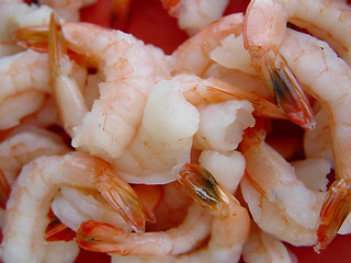 Image showing Background of cooked shrimp