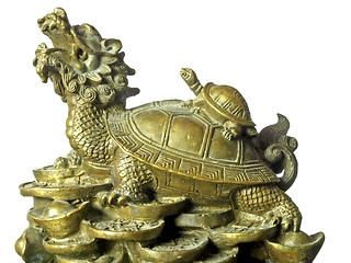 Image showing Schildkröte