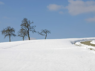 Image showing Winter