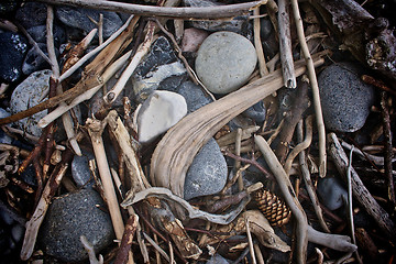 Image showing Sticks and stones