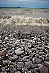 Image showing Pebble beach