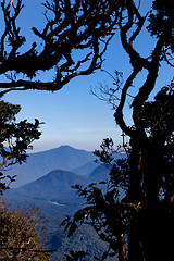 Image showing Mountain Scenery