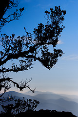 Image showing Mountain Scenery