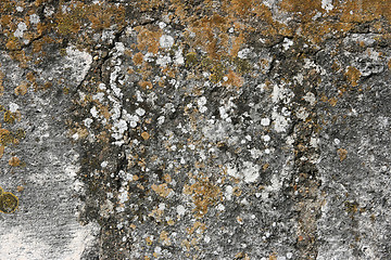 Image showing Lichen covered wall