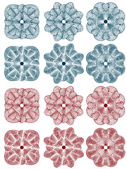 Image showing guilloche - rosettes