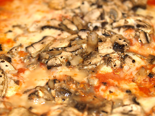 Image showing Mushroom Pizza