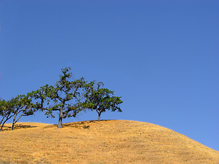 Image showing California hills and trees