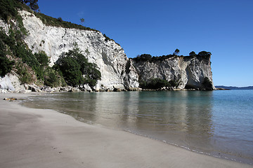 Image showing New Zealand beach