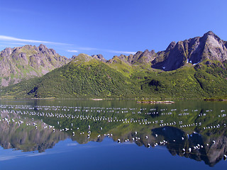 Image showing Lofoten