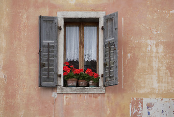 Image showing Window with red geranium