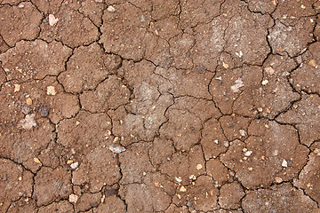 Image showing Dry cracked mud
