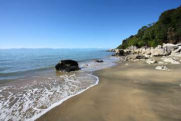 Image showing New Zealand beach