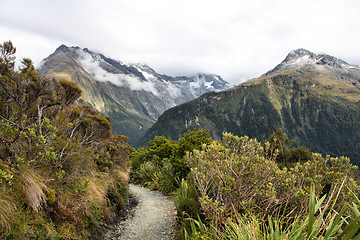 Image showing New Zealand