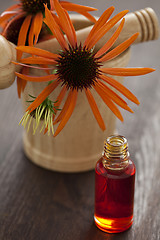 Image showing echinacea alternative medicine