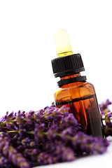 Image showing lavender essential oil