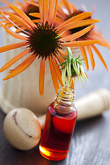 Image showing echinacea alternative medicine