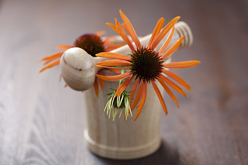 Image showing mortar and pestle with echinacea