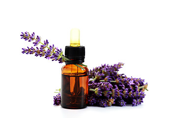 Image showing lavender essential oil