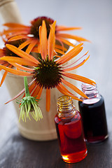 Image showing echinacea alternative medicine