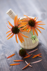 Image showing mortar and pestle with echinacea