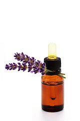 Image showing lavender essential oil