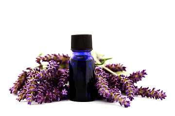 Image showing lavender essential oil