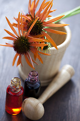 Image showing echinacea alternative medicine