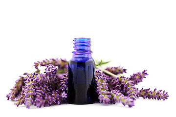 Image showing lavender essential oil