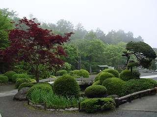 Image showing Japanese Garden