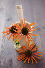 Image showing mortar and pestle with echinacea