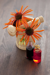 Image showing echinacea alternative medicine