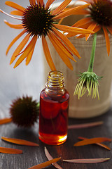 Image showing echinacea alternative medicine