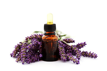 Image showing lavender essential oil