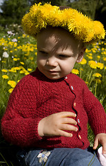 Image showing Toddler with dandelion wreath