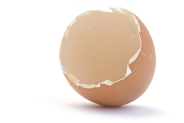 Image showing Shell of the egg.