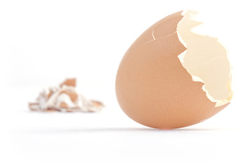 Image showing Shell of the egg.